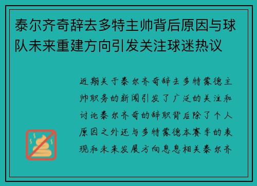 泰尔齐奇辞去多特主帅背后原因与球队未来重建方向引发关注球迷热议